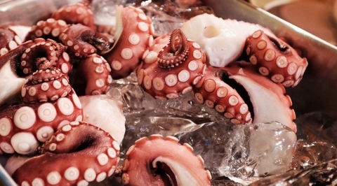 Bari citt� senza "stelle": ecco perch� i ristoranti sono snobbati dalla guida Michelin